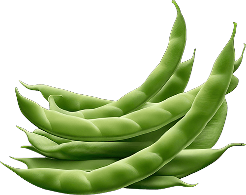 Naturipe Premium Banana - Image 3