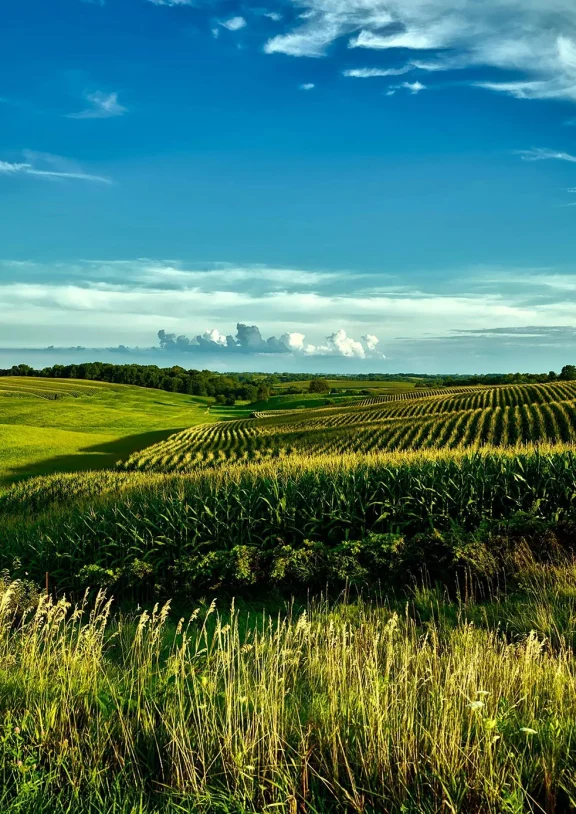 We grow fresh, organic produce using clean methods that protect nature, healthy food.