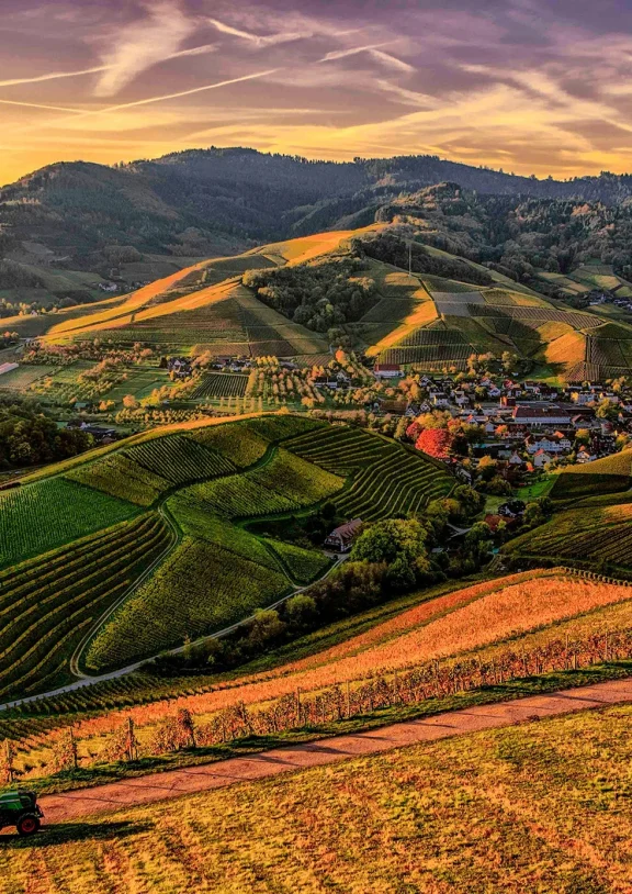 We grow fresh, organic produce using clean methods that protect nature, healthy food.