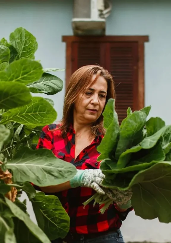 We grow fresh, organic produce using clean methods that protect nature, healthy food.