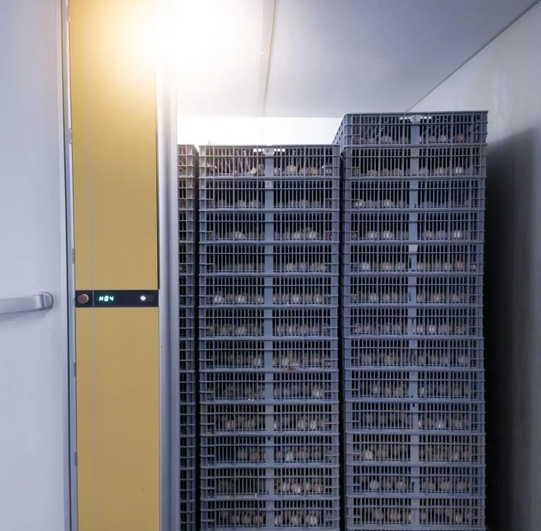 We provide reliable hatchery farm supply services, ensuring safe and timely delivery of essential materials for smooth hatchery operations.