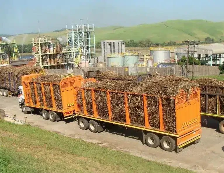 We supply high-quality industrial bagasse, molasses, and mud for various industrial and agricultural applications across Pakistan.