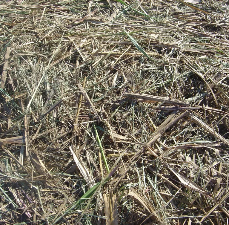 We supply high-quality industrial bagasse, molasses, and mud for various industrial and agricultural applications across Pakistan.